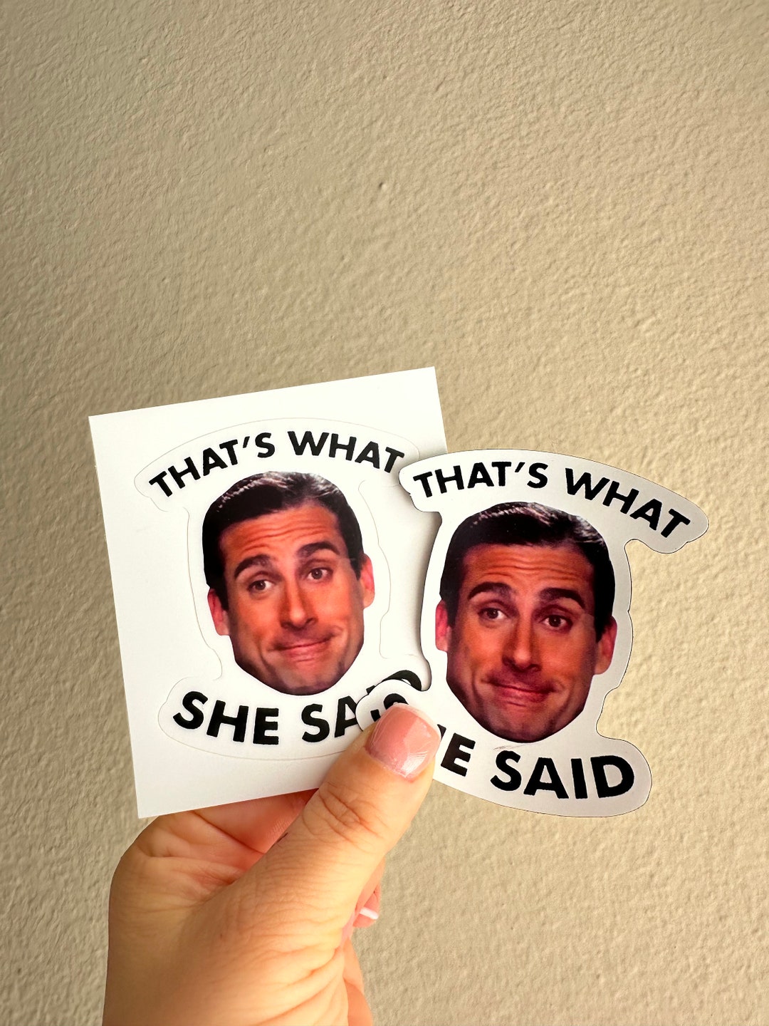 The Office Meme Magnet & Sticker Bundle Pack of 2 thats What She Said ...