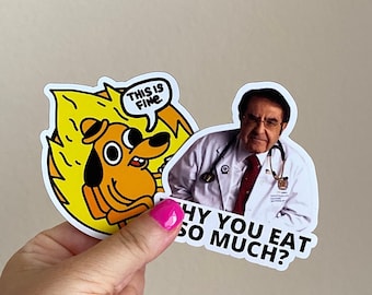 2 Stickers Pack Dr. Nowzaradan “Why you eat so much” This is Fine 2 Pack Funny Stickers Gifts Waterproof Decal Vinyl Car Nurse Doctor Gift