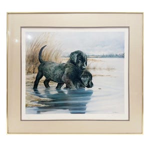 May include: Two black Labrador Retriever puppies playing in a lake. The puppies are standing in the water, with their heads tilted down as if they are looking at something in the water. The background is a blurry image of a lake and trees.