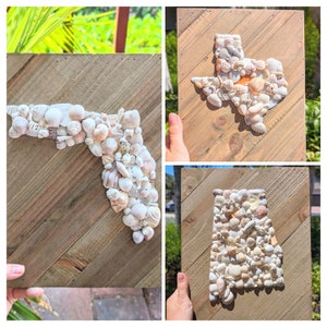 Seashell State Art: Florida, Alabama, Texas Coastal Decor