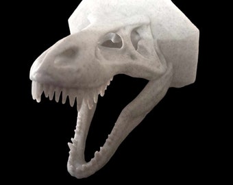 Tyrannus Skull  Bust, T-Rex Head  Head, Trex skull