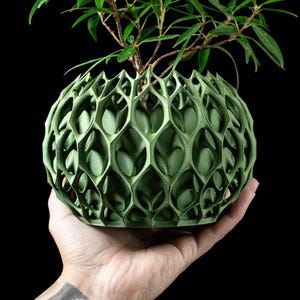 May include: A green, spherical planter with a geometric, openwork design. The planter is filled with a small green plant with thin, green leaves. The planter is held in a hand against a black background.