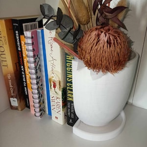 Planter Book Nook, Handmade Wooden Shelf Decor, Organize Books & Plants, Unique Housewarming Gift