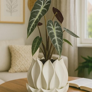 May include: A white, petal-shaped planter holding a houseplant with large, dark green leaves with white veins. The planter sits on a round, wooden table. A book and a framed picture are in the background.