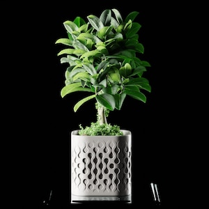 May include: A small, green-leafed plant in a square, light grey pot with a unique, patterned design. The plant is centered against a black background, creating a striking contrast. The pot's design features a series of interconnected, abstract shapes.