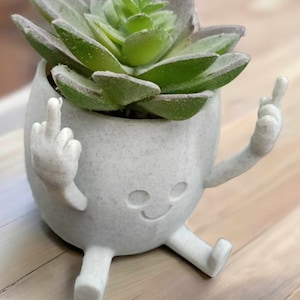 Långfingerplanter, rolig suckulentkruka, fräck heminredning