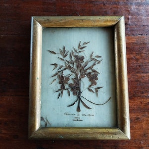 Flea market hair painting/old folk art 19th/original frame/curiosity object/rare/jewelry/souvenir/reliquary/collection/decoration