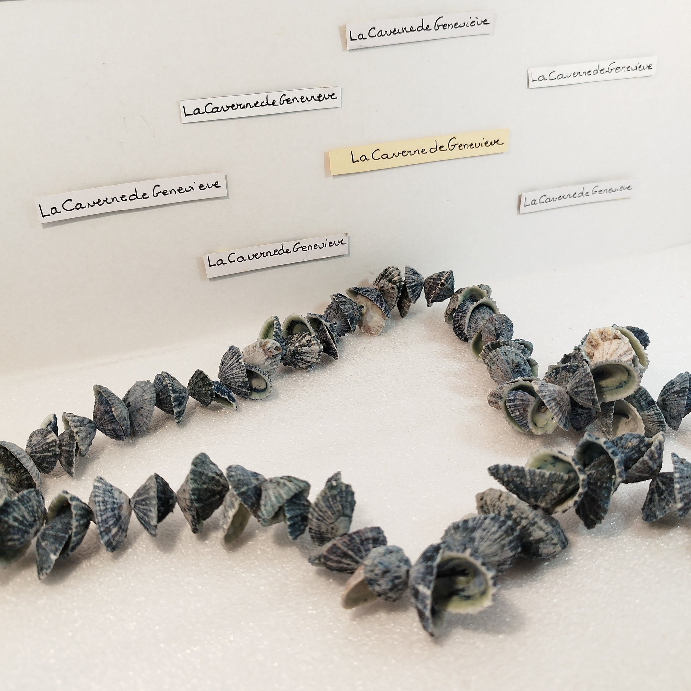 タヒチの伝統的なシェルネックレス タヒチシェルネックレス/ポリネシア/別れのギフトシンボル