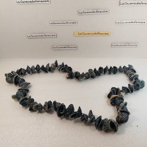 Collier coquillages bleus Tahiti/bijou ethnique polynésien porte‑bonheur/symbole du fenua/coquillage artisanal/déco été/pièce unique/cadeau