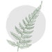 Lucent and Fern