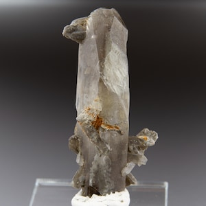 May include: A smoky quartz crystal cluster with a large, clear, faceted crystal in the center. The crystal is translucent and has a slight gray tint. The cluster is on a white base.