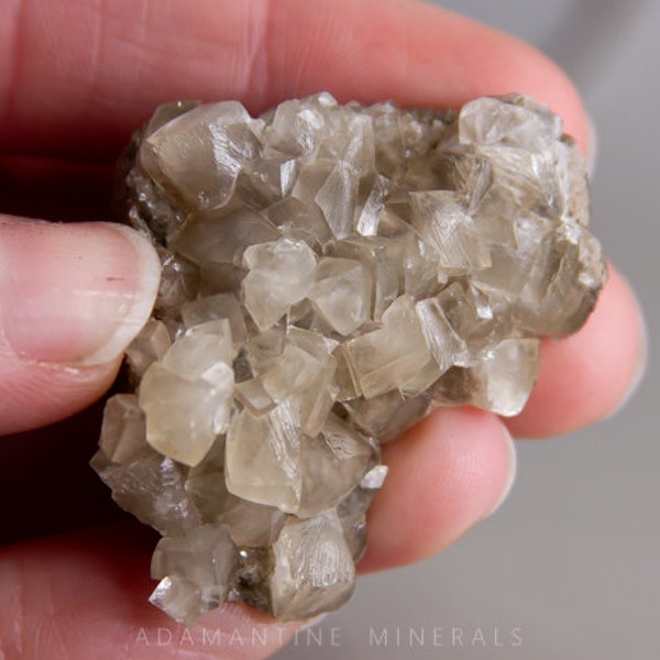 Calcite on Matrix with Waxy Luster from Rockwood Quarry, Calcite Mineral Specimen from Michigan