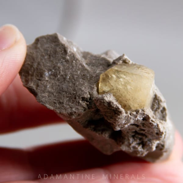 Golden Calcite Crystal in Vug, Matrix Specimen Honey Calcite from Michigan, Monroe County Mineral Specimen, Rhombohedral Calcite in Matrix
