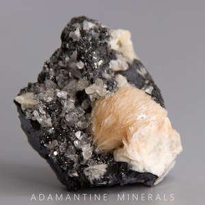 May include: A cluster of light pink and white crystals on a dark gray rock. The crystals are arranged in a fan shape and have a smooth, shiny surface.