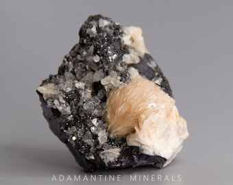 May include: A cluster of light pink and white crystals on a dark gray rock. The crystals are arranged in a fan shape and have a smooth, shiny surface.