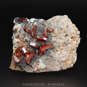 Vanadinite Matrix Specimen, Natural Red Vanadinite on Black Matrix from Morocco, Glittery Vanadinite Crystals with Great Crystal Form, 38 mm