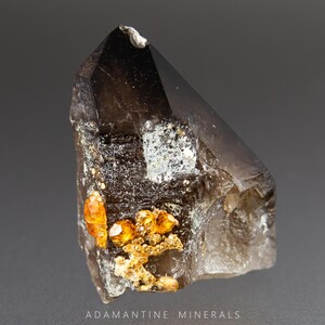May include: A smoky quartz crystal with a dark, translucent body and a pointed tip. The crystal features patches of white and clusters of orange and yellow mineral formations. The text "ADAMANTINE MINERALS" is at the bottom.