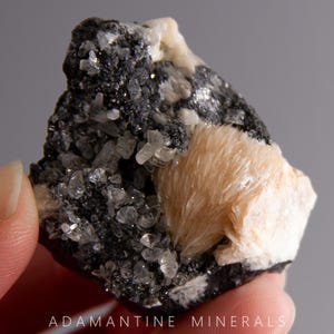 May include: A cluster of white and light pink crystals with a black, sparkly background. The crystals are arranged in a fan shape and have a rough, natural texture.