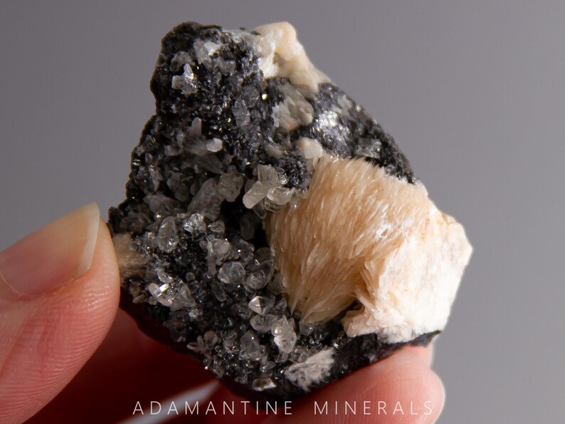 May include: A cluster of white and light pink crystals with a black, sparkly background. The crystals are arranged in a fan shape and have a rough, natural texture.