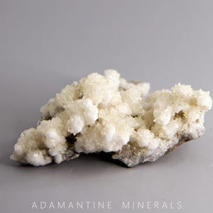 May include: A cluster of white and yellow crystals on a gray rock. The crystals are small and have a rough texture. The rock is about 3 inches long.