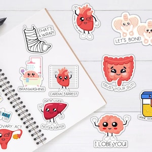 Anatomy funny stickers ~ Medical and nursing stickers ~ Funny body part stickers ~ Stickers for student nurses, midwives, paramedics, doctor