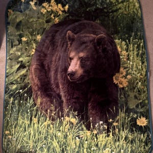 May include: A plush blanket featuring a detailed image of a brown bear in a field of tall green grass and yellow wildflowers. The blanket has a dark green border and the artist's signature in the bottom left corner.