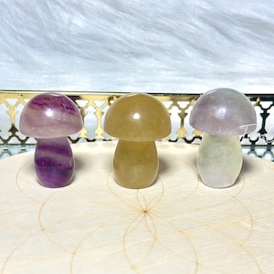 Natural Fluorite Mushroom