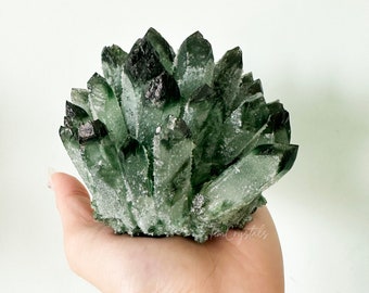 Green Phantom Quartz Crystal Cluster Mineral Healing Specimen