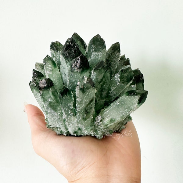 Green Phantom Quartz Crystal Cluster Mineral Healing Specimen