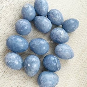 Puede incluir: Una colección de 13 huevos de cristal de celestita lisos, de color azul claro y forma ovalada. Los huevos están dispuestos en un grupo suelto sobre una superficie de madera clara.