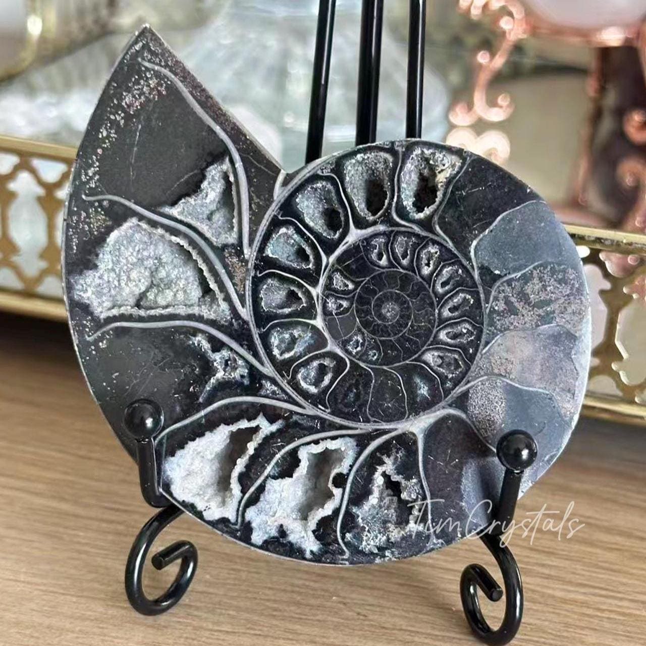 Ammonite nodule - Etsy 日本