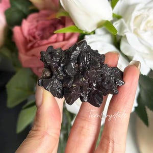 以下が含まれることがあります： 手で持たれた、暗く尖った鉱物クラスター。鉱物は、質感のある表面を持つ、深く光沢のある黒色です。背景には、ぼやけたピンクと白のバラがあります。「Tim Crystals」の文字が右下に表示されています。