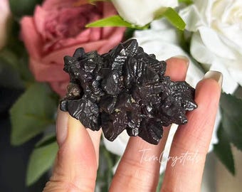 Pedras da Profecia de Diamante Negro Natural Bruto, Espécime Mineral de Pedra da Profecia do Egito, 1 peça