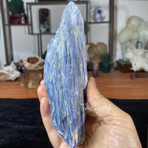 May include: A large blue kyanite crystal with a striated, fibrous texture. The crystal is about 15 cm tall and has a pointed tip.