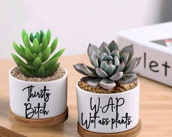 EMPTY | Funny Succulent Pot | Plant Pots | Ceramic Plant pots | Plant pots | Plant Pots With Drainage | House warming Gifts| Cute Plant Pots