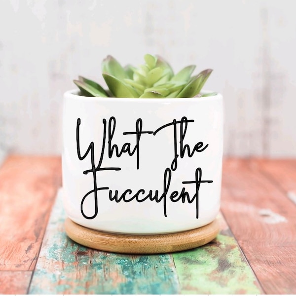 Planters & Pots | What The Fucculent | Funny Succulent Pot  | Plant Pot | 3 Inch Succulent Pot | Home Decor And Gifts | Small Succulent Pot