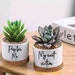see more listings in the Mini Plant Pots section