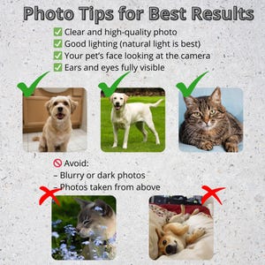 Puede incluir: Un gr&aacute;fico instructivo titulado Photo Tips for Best Results con marcas de verificaci&oacute;n verdes junto a consejos para fotos claras, buena iluminaci&oacute;n y rostros de mascotas visibles. Incluye tres fotos de ejemplo y dos a evitar.