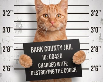 Personalized Cat Mugshot Portrait from Photo | Funny Cat Lover Gift