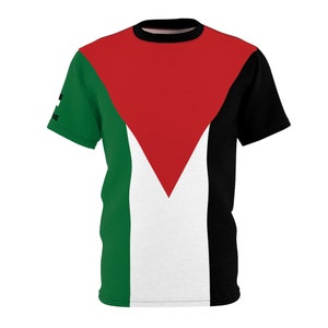 Puede incluir: Una camiseta negra, blanca, verde y roja con un diseño de bandera palestina.