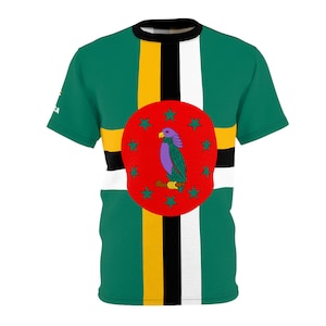 Chemise drapeau DOMINIQUE