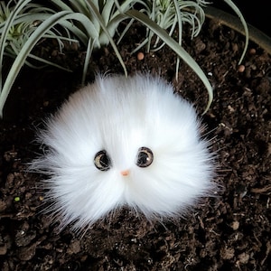 May include: A white fluffy toy with large black eyes and a pink nose. The toy is sitting on a bed of brown soil.