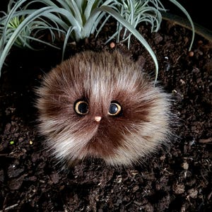 Mockabrun babypuff