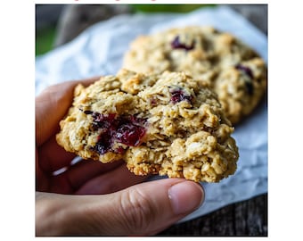 Cranberry Oatmeal Cookie Recipe | Gourmet delicious stuffed bakery cookie recipe | Homemade cookies baking recipe | Sweet sugar dessert
