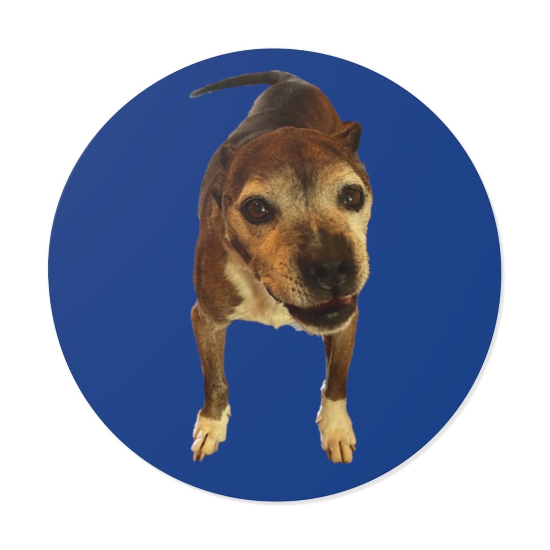 Classic Hubert Sticker - Etsy