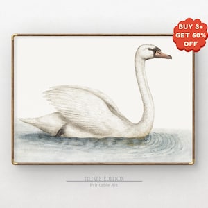 Vintage Swan Print - Elegant Farmhouse Wall Art (Digital Download)