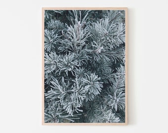 Pine Tree Photo Wall Art, Nature Photography Print, Digital Download Printable Decor, Forest Landscape Rustic Home Cabin Decor, Woodland Art