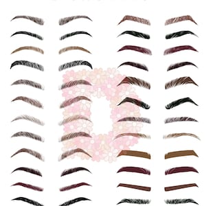 Pode incluir: Uma ilustração intitulada "BROW SHAPES" exibe vários estilos de sobrancelhas em tons de castanho, preto e castanho avermelhado. A imagem mostra uma variedade de formas de sobrancelhas, de finas e arqueadas a grossas e retas, oferecendo um guia visual para diferentes estéticas de sobrancelhas.
