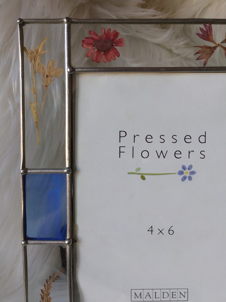 Vintage Pressed Flowers 4x6 Picture/photo Frame. Etsy