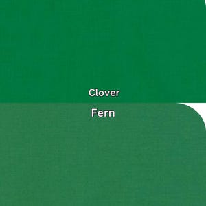 Pu&ograve; includere: Due sezioni rettangolari di colori verdi pieni, una tonalit&agrave; pi&ugrave; brillante etichettata "Clover" e l'altra una tonalit&agrave; pi&ugrave; scura etichettata "Fern". L'immagine &egrave; una tabella colori o un campione di due diverse tonalit&agrave; di verde.